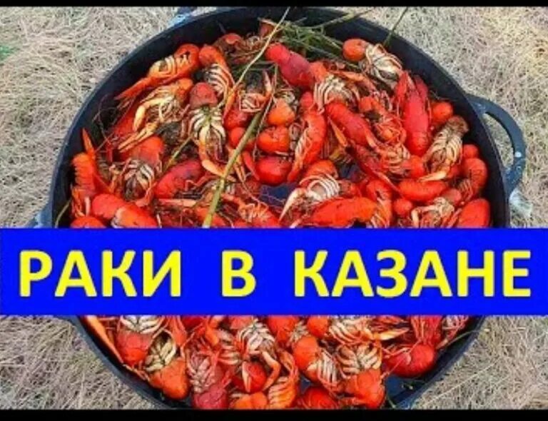 Раки в казане рецепт. Креветки в казане на костре. Креветки в природе. Казан на костре. Раковая ивана раковара.