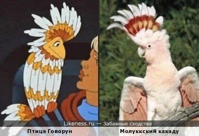 Отличается умом