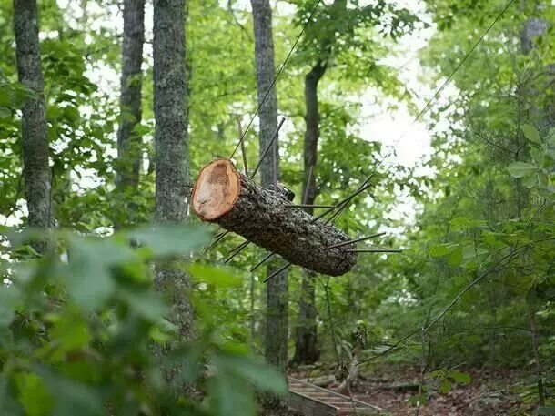 Logging trap
