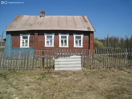 Дерняки погода