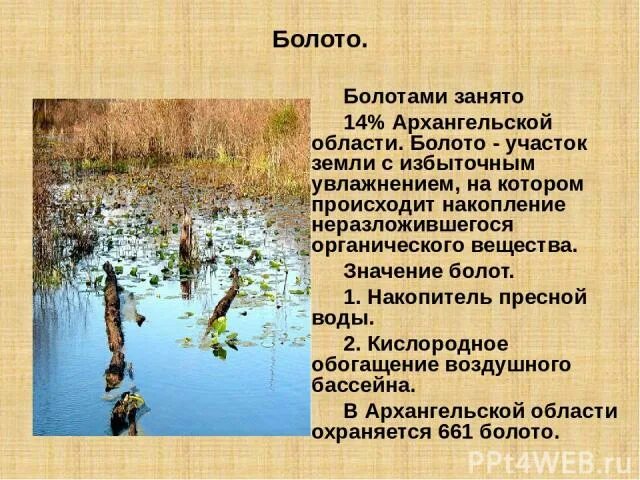 В болоте пресная вода. Болотные и Заболоченные почвы. Естественный водоем с пресной водой постепенно зарастает. Значение болота в природе. Болотистый значение.