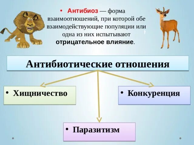 Антибиоз паразитизм. Форма взаимоотношений конкуренция. Конкуренция паразитизм. Хищничество и паразитизм.