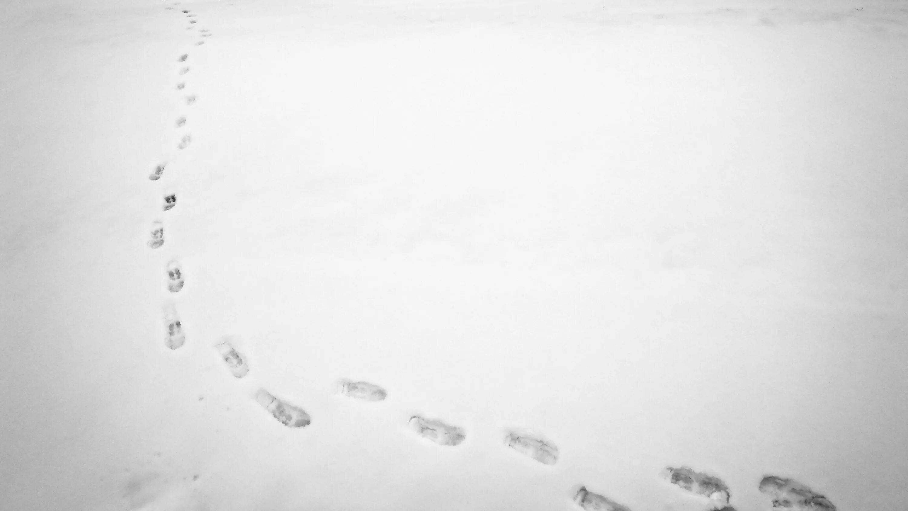 След город. Следы на снегу. Следы на снегу на белом фоне. Следы на снегу для фотошопа. Следы снега на черном.