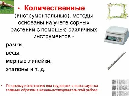 Учет сорняков