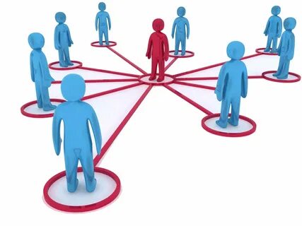 В нарушении системы общественной