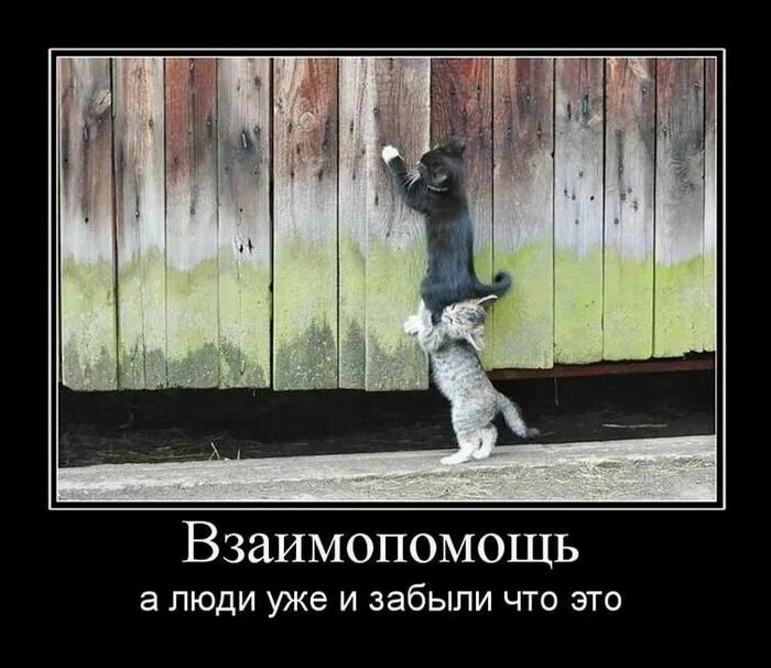 В жизни нет ничего хорошего