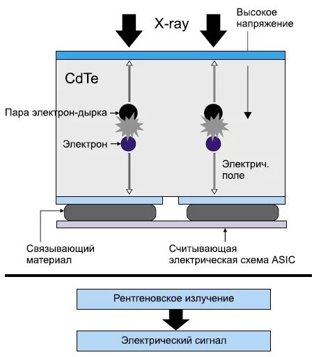 Твердотельные детекторы излучения. Принципы полупроводниковых детекторов рентгеновского излучения. Полупроводниковый детектор ионизирующего излучения. Полупроводниковый детектор гамма излучения. Регистрация детектор