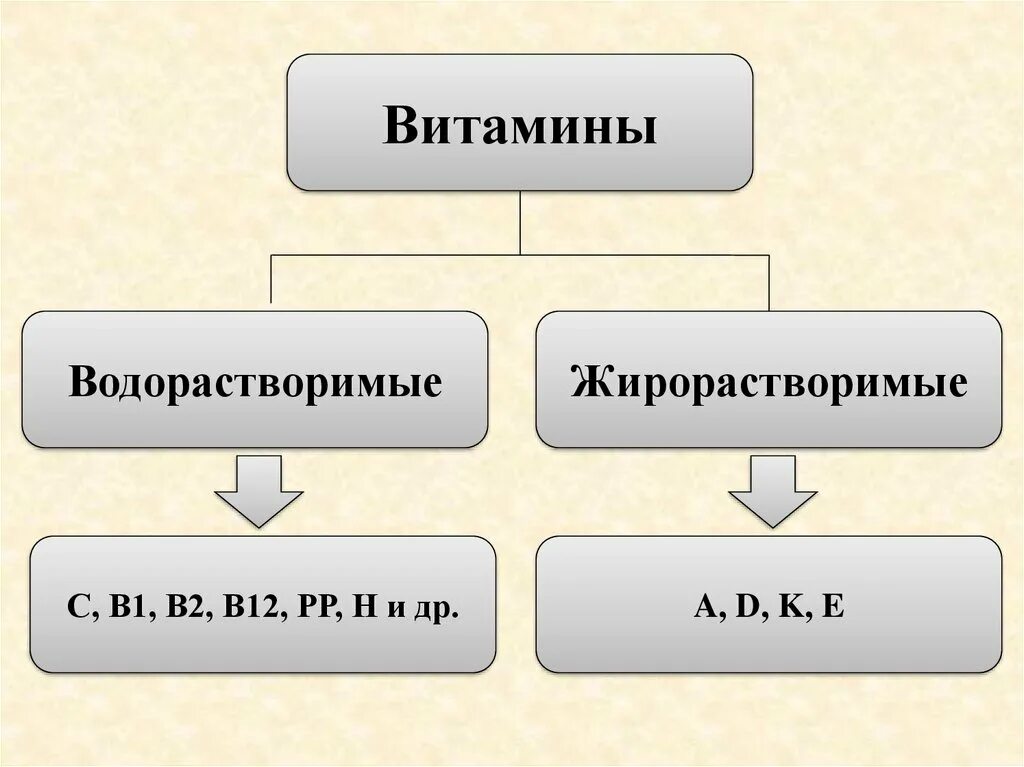 Витамины жирорастворимые и водорастворимые биология 8 класс. Схема водорастворимые и жирорастворимые витамины. Классификация витаминов водорастворимые и жирорастворимые. Классификация витаминов таблица водорастворимые и жирорастворимые. Водорастворимые витамины примеры