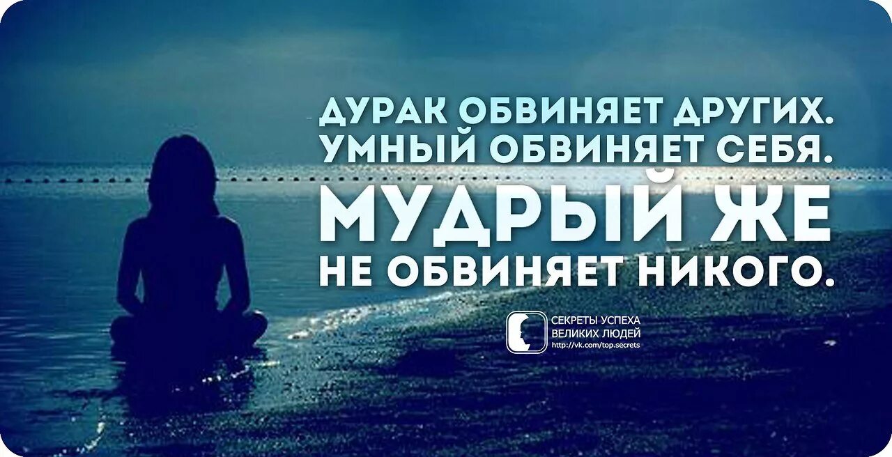 Никогда не обвиняй. Цитаты про обвинения. Цитаты обвинять других. Обвинять других в своих неудачах афоризмы. Дурак обвиняет других,умный себя.