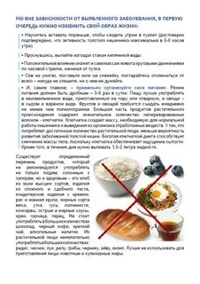 Сколько клетчатки в айсберге