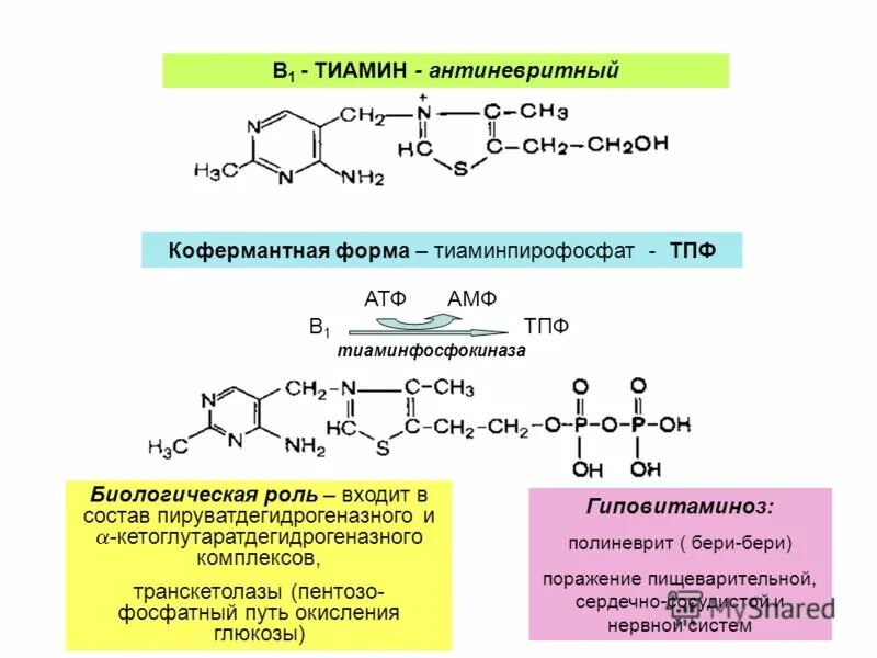 Ферментативные реакции с витамином в1. Структура кофермента витамина в1. Кофермент ТПФ реакция. Витамин в1 строение и биологическая роль.