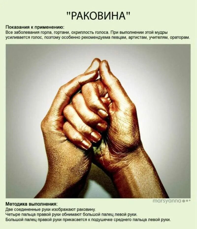 Мудра дающая жизнь. Йога для пальцев исцеляющие мудры. мудра &quot;раковина&quot; - &quot;шанкха&quot;. мудры для пальцев рук йога для пальцев. мудры йога для пальцев энергии.
