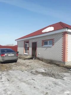 Кедр тюмень