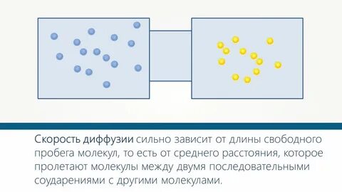 Средняя скорость броуновской частицы в газе