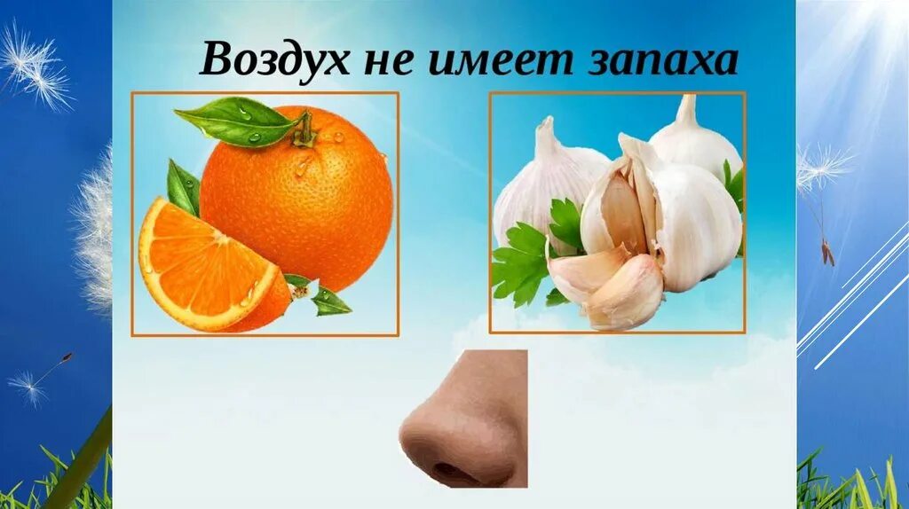 Звук запах вкус. Воздух не имеет запаха. Опыт воздух не имеет запаха. Презентация воздух для дошкольников. Имеет ли воздух запах.