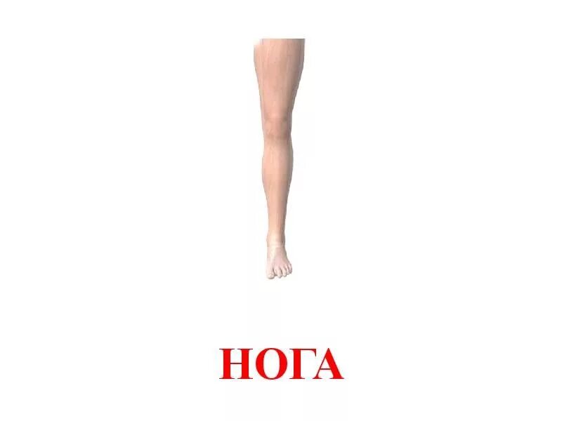 Ноги слова. Слово ноги. Фразеологизмы со словом нога ноги. Ноги слова. Значение слова ножка.