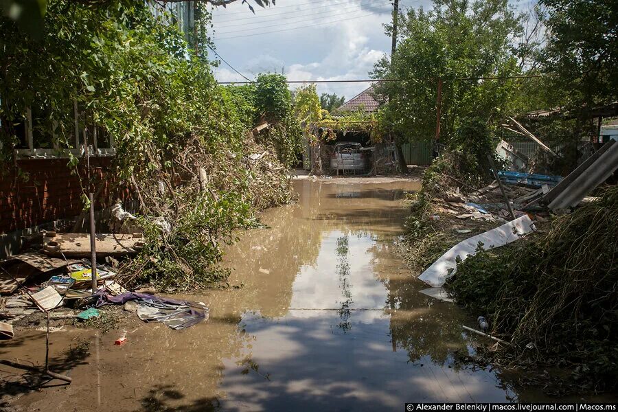 После потопа after the flood