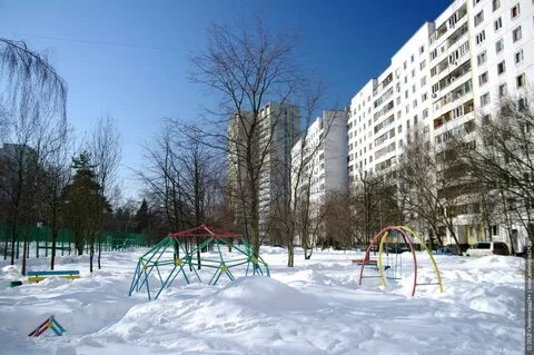 Зеленоград декабрь