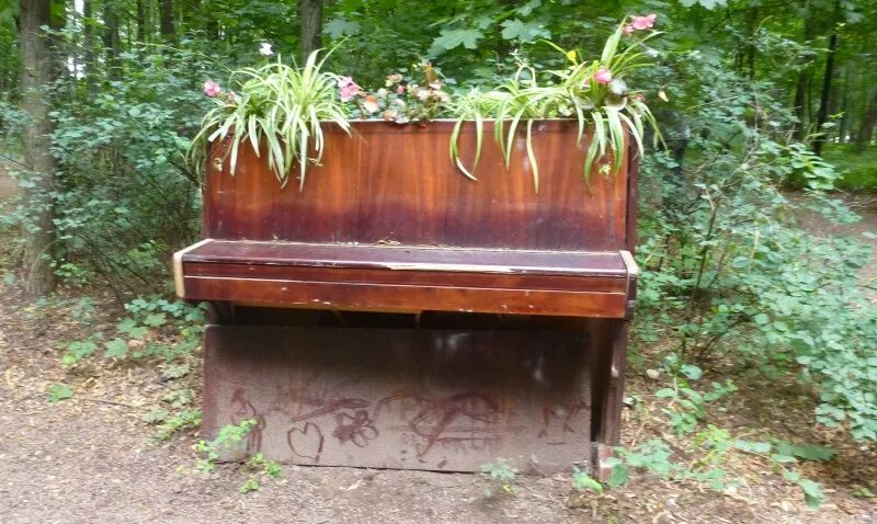 Шутка про рояль в кустах. Рояль из кустов. Рояль в кустах черниговская. Рояль в кустах. Рояль в кустах.