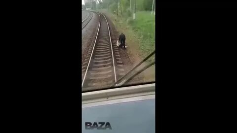 Каренин под поезд