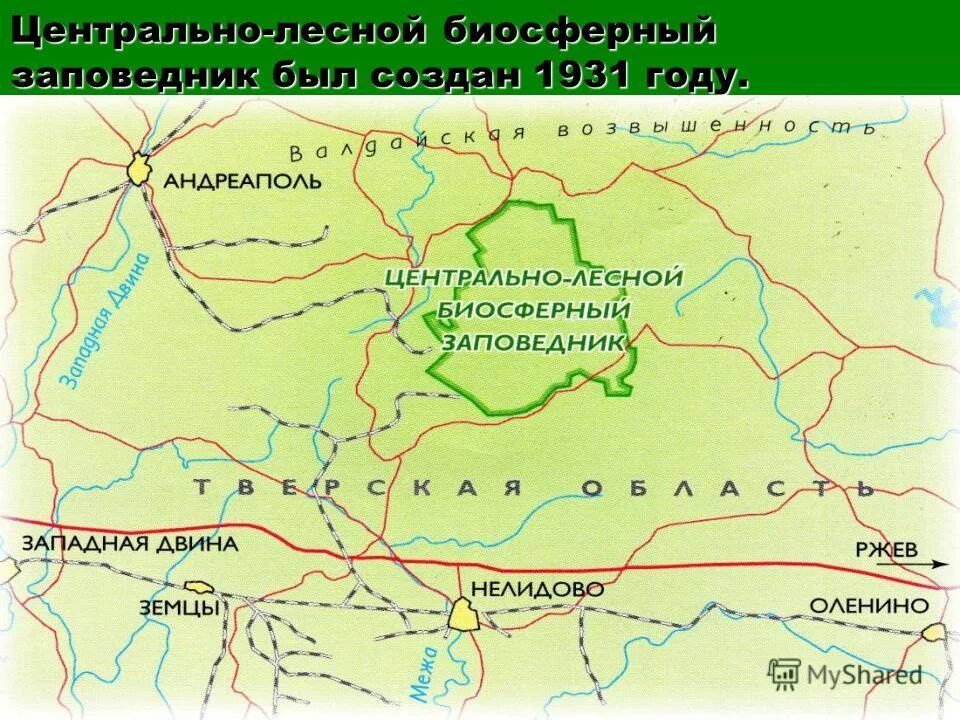 центральный лесной биосферный заповедник тверская область.