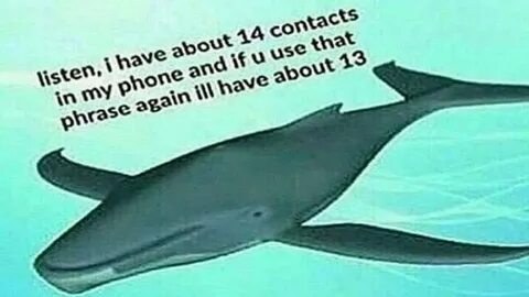 I have contacted