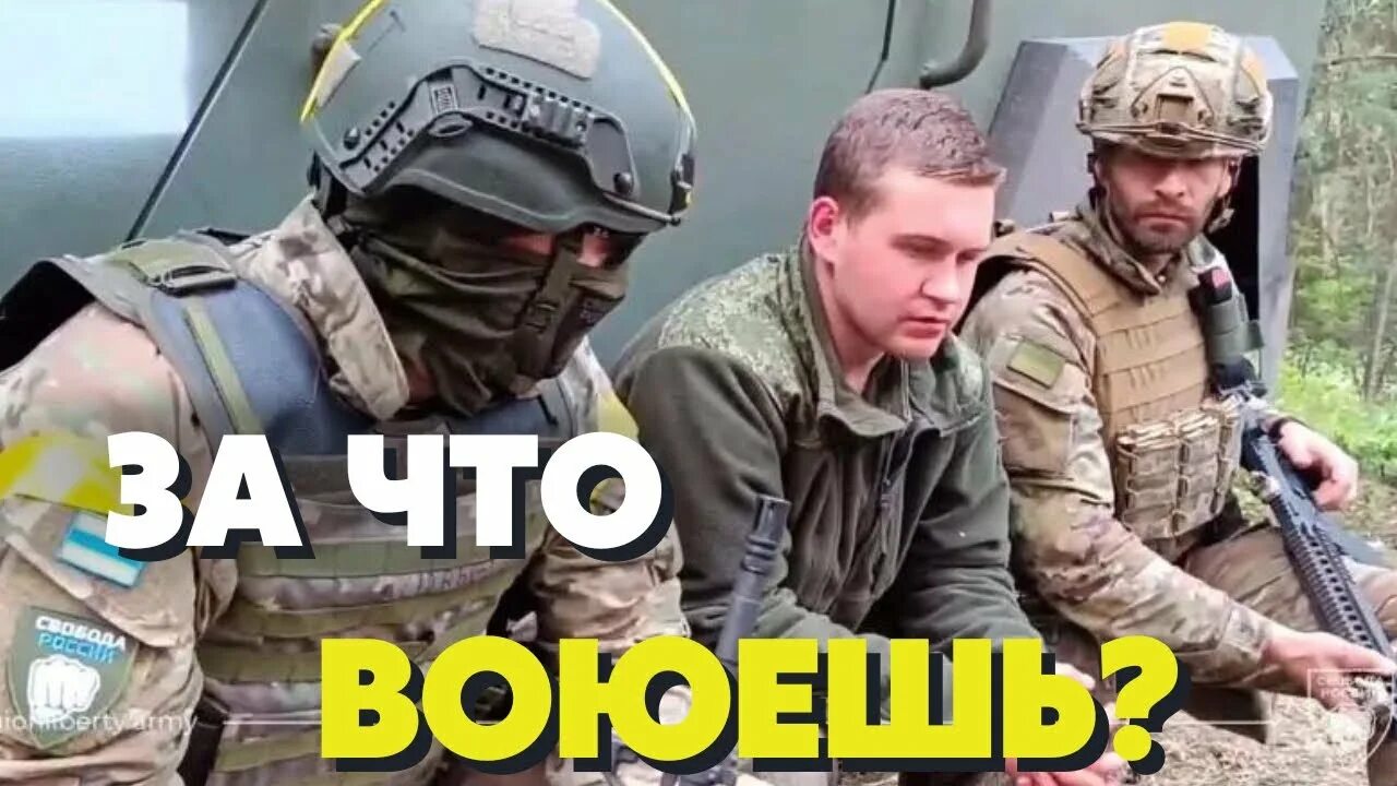 Рдк и легион свобода россии. РДК Легион. Легион Свобода России в Украине. Допрос пленных российских военнослужащих.