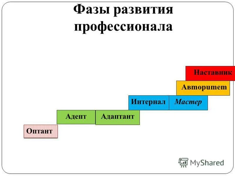 Высшая стадия развития