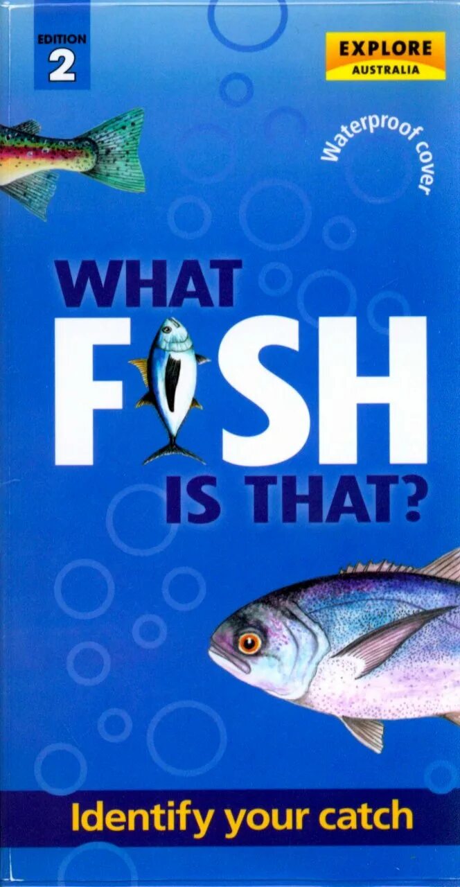 It is a fish. Fish book. what fish. jiangtuan fish what is it. fishbrain.