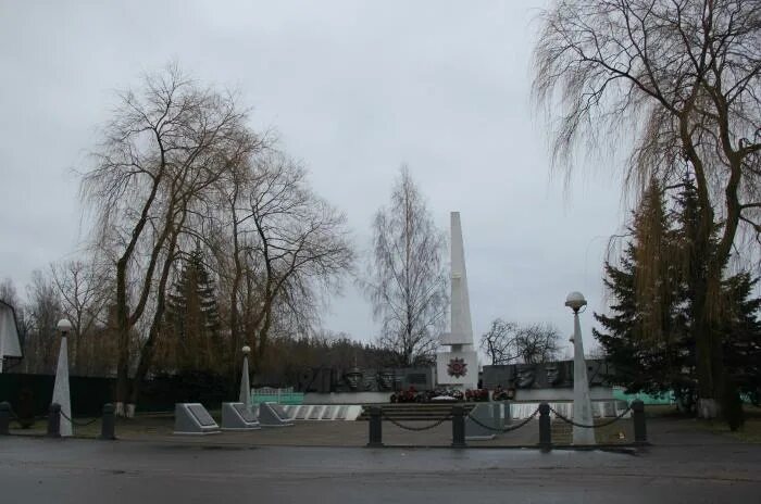 Гомель злынка. Город Злынка Брянская область военные. Военная техника под Злынкой Брянской обл.