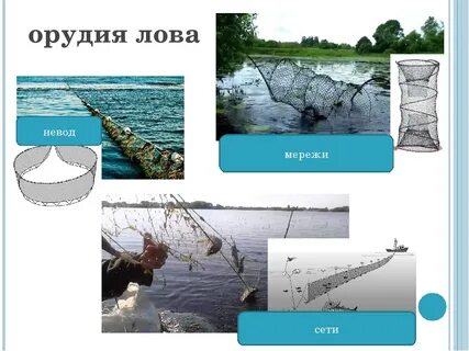 Орудия лова