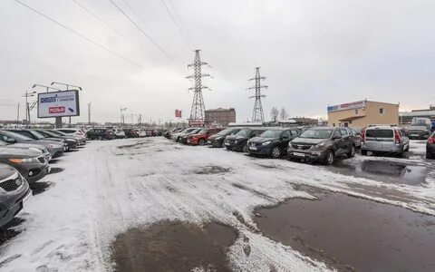 Рольф витебский петербург