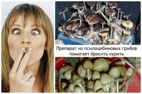 Наелся поганок