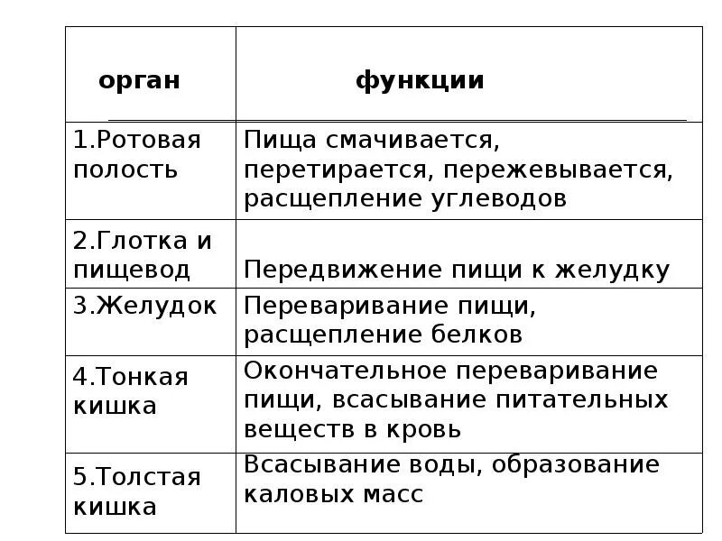 Строение и функции органов пищеварительной системы таблица. Таблица по биологии органы пищеварения строение функции. Таблица по биологии строение и функции пищеварительной системы. Таблица органы пищеварения орган особенности строения функции.