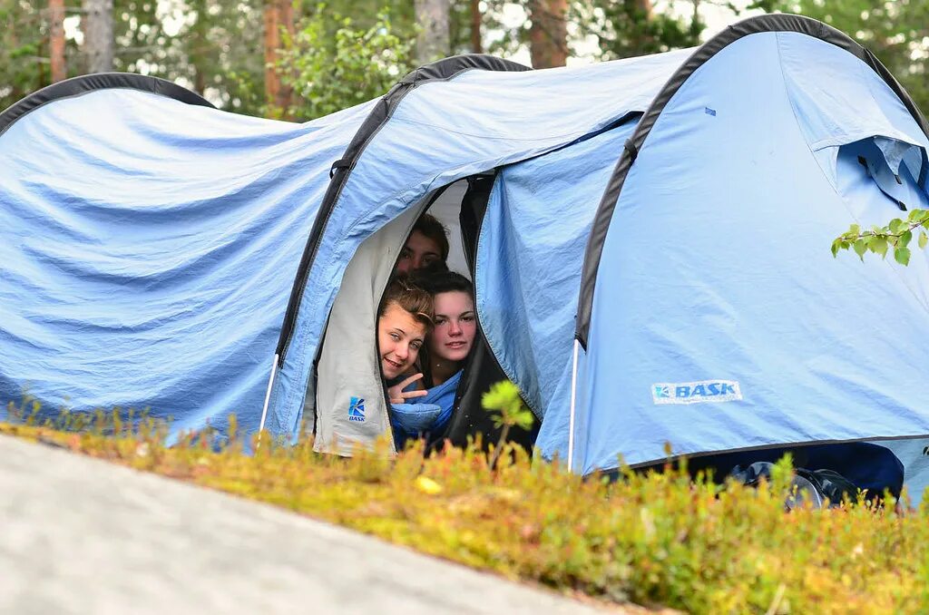 Лагерь большое приключение карелия 2013 год. Про кэмп. Pro camp лагерь. Кемп. Про кэмп.