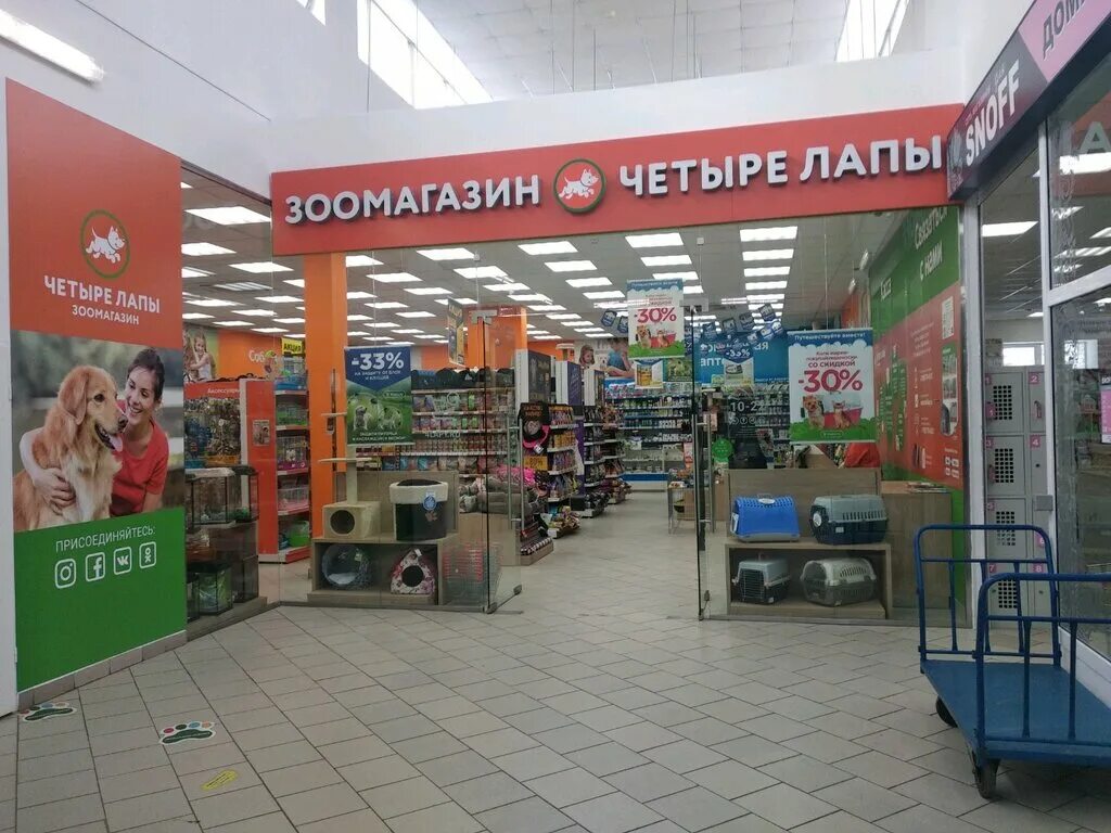 Сайт 4 лапы зоомагазин. Сайт 4 лапы зоомагазин