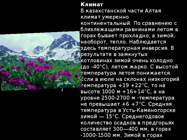 Климат Алтая. Климат Алтайского края. Климат горного Алтая. Климатические условия Алтайского края.
