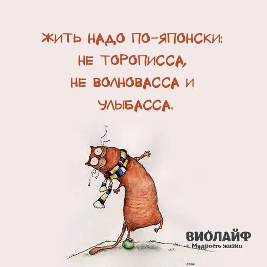 Надо жить спокойно. Надо жить. Жить надо по-японски. Жить надо не торописса не волновасса и улыбасса. Надо жить по-японски не волноваться.