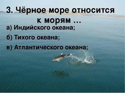 У черного моря презентация плешаков