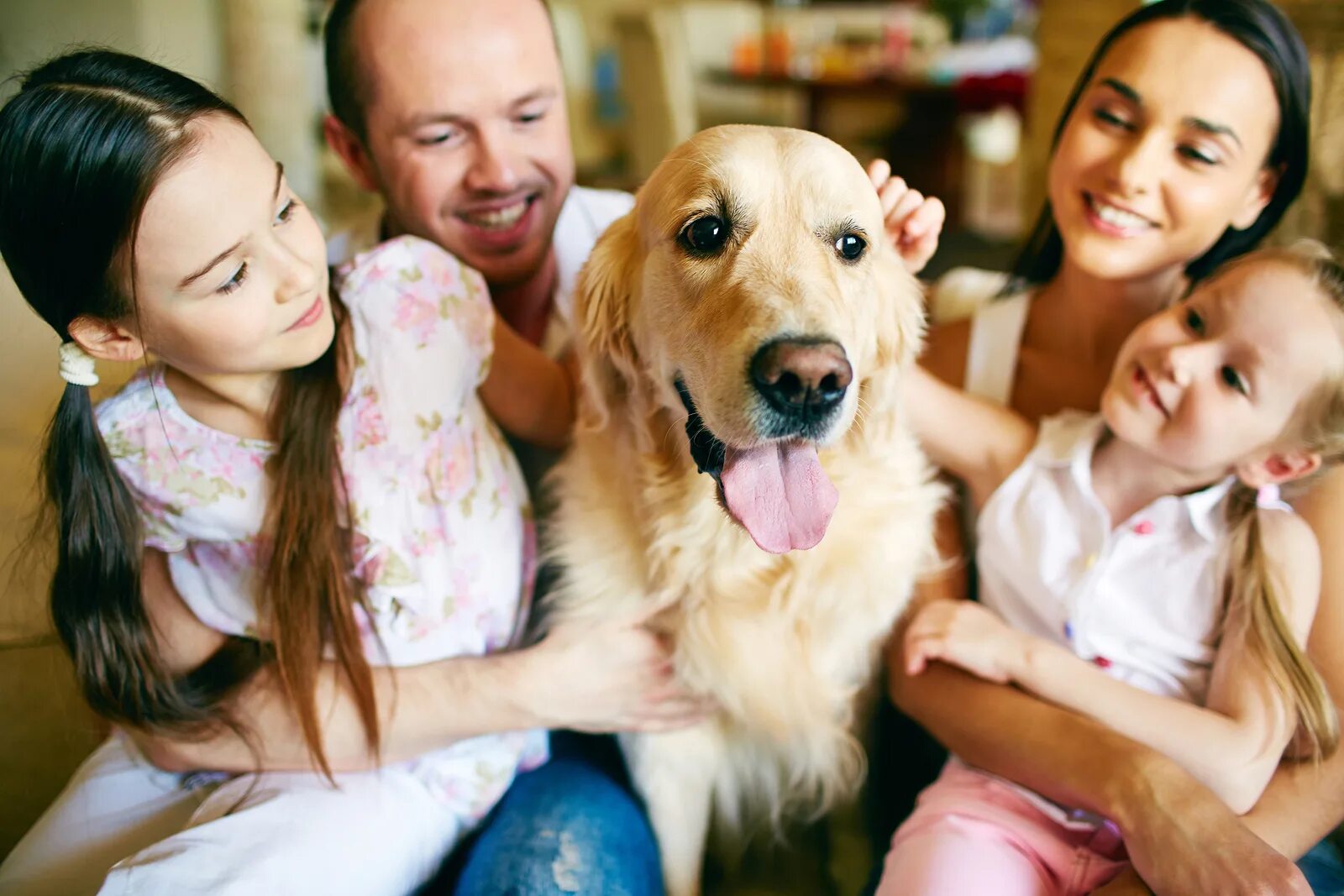 Make pets