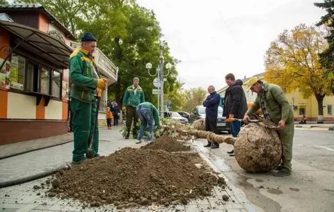 Зеленстрой анапа