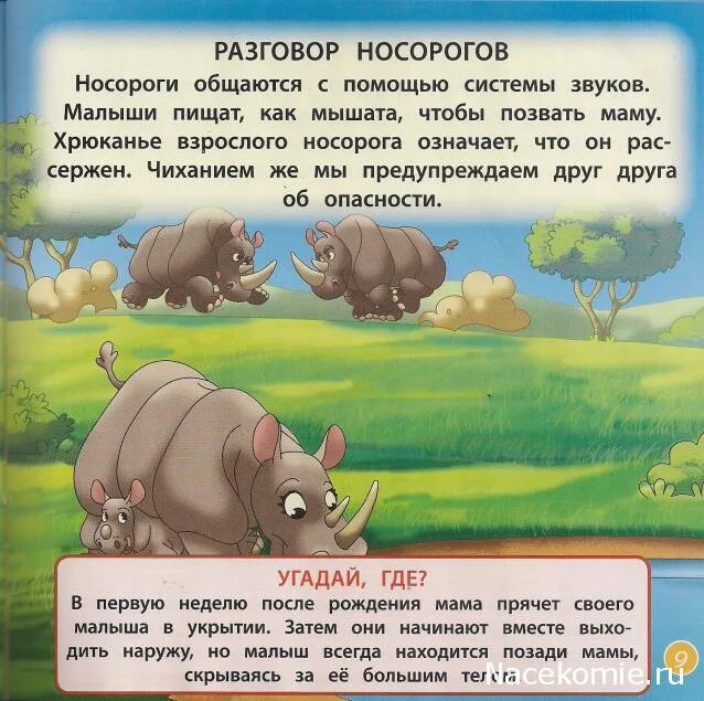 Как читается носорог. Как читается носорог. Непарнокопытные носороговые. Как читается носорог. Транскрипция слова носорог на английском.