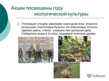 Культура переработок