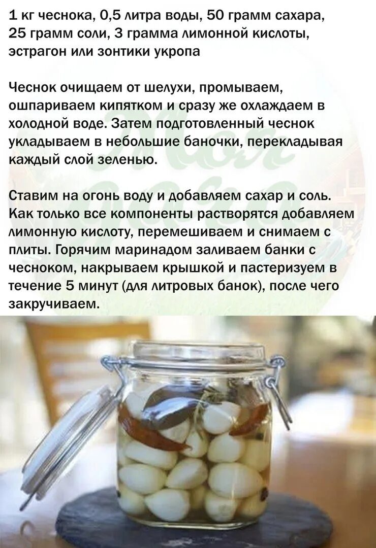 Маринованные стручки чеснока рецепт приготовления на зиму. Заготовки из зеленых перьев чеснока. Маринованные чесночные стрелки рецепт. Маринованные стручки чеснока рецепт приготовления на зиму. Луковые стрелки рецепты приготовления на зиму маринованные.