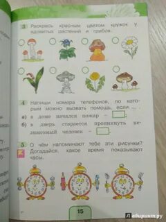 Тпо поглазова