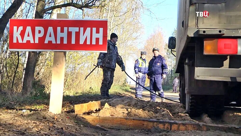 Карантин отменен по гриппу птиц. Карантин надпись. Карансен. Карантин табличка на дверь. Где есть карантин.