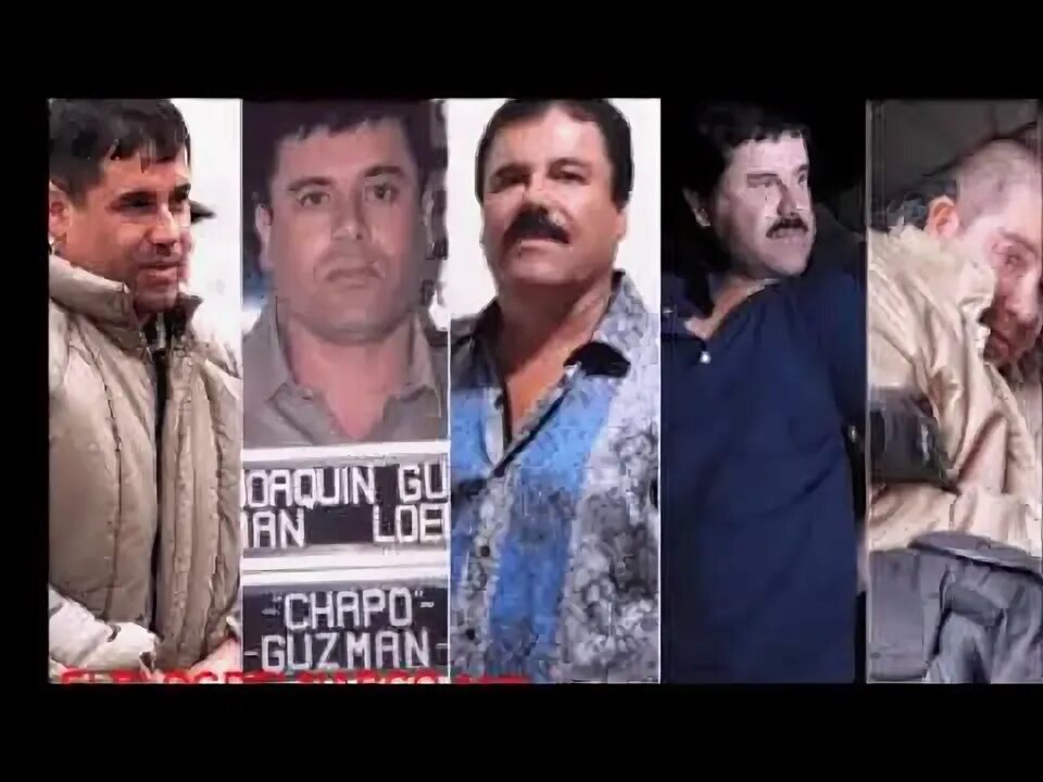 Эль чапо википедия биография и личная жизнь Joaquin 'El Chapo' Guzman captured: All about one of the world's most wanted man