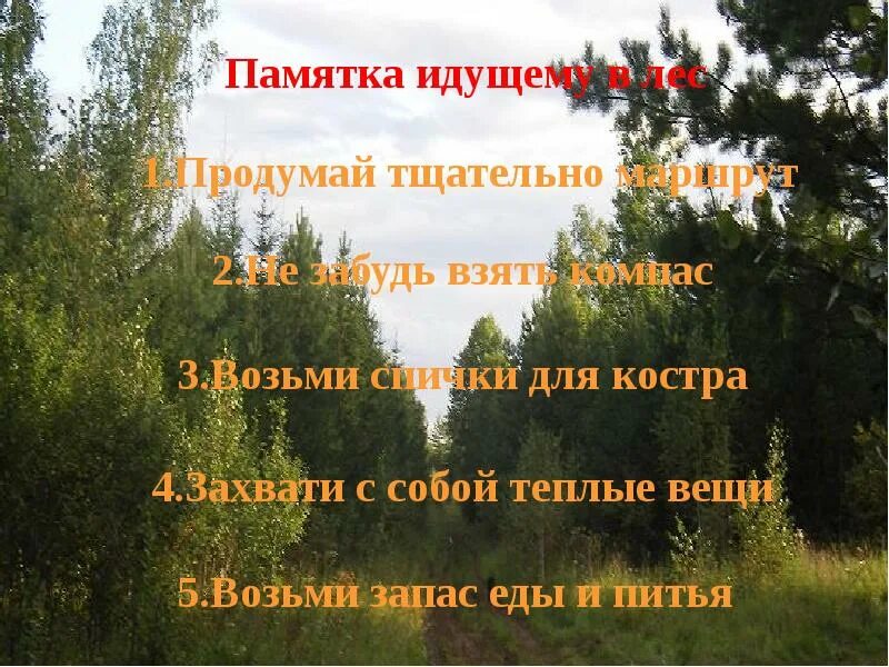 Васюткино озеро памятка как выжить в лесу. Памятка идущему в лес. Составить памятку идущему в лес. Памятка:советы тем кто идет в лес. Памятка для тех кто идет в лес.