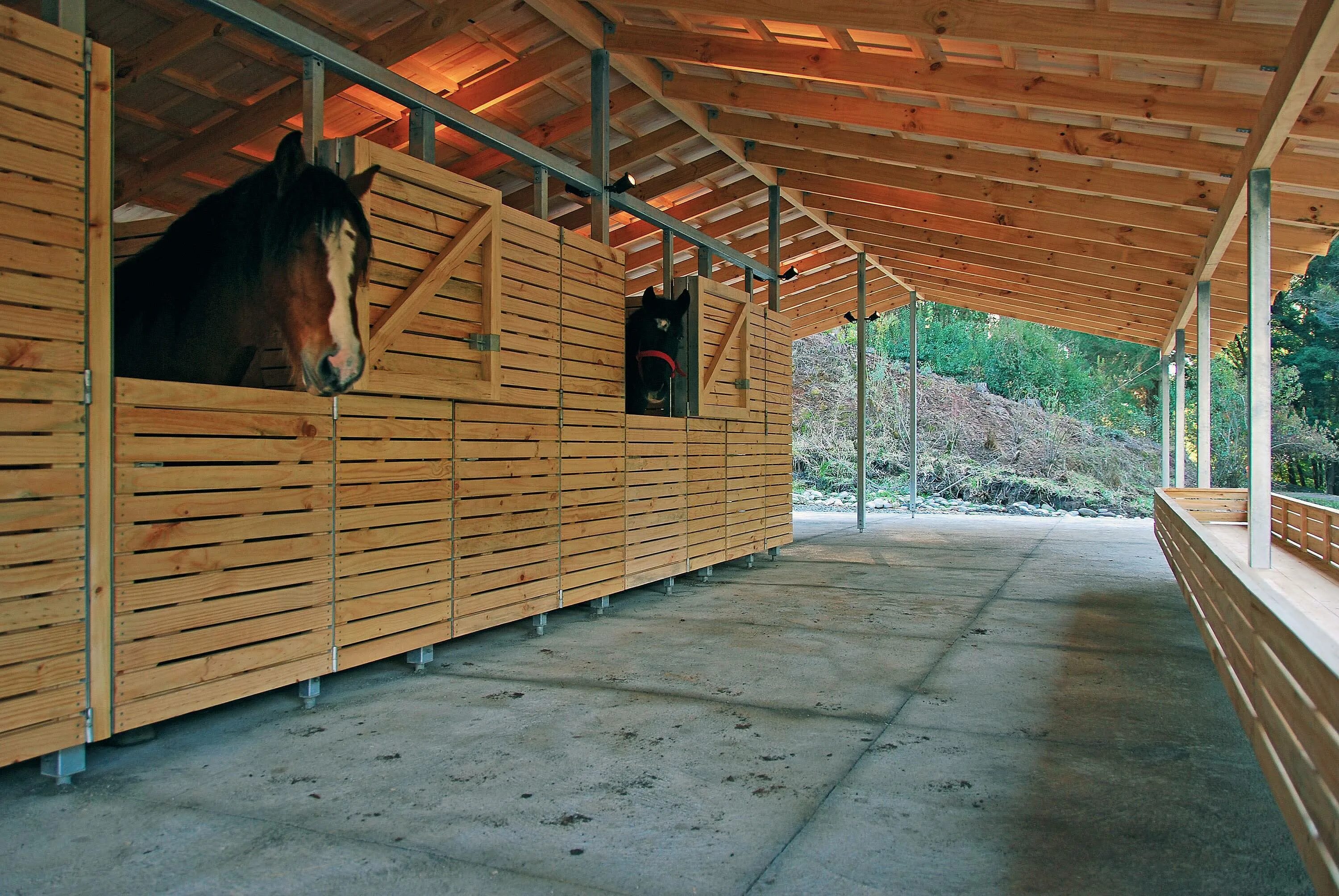 Летняя конюшня. Конюшня шелтер. Конюшни Westphalian stables архитектура. Конюшня «la Victoria». Конюшня берген.