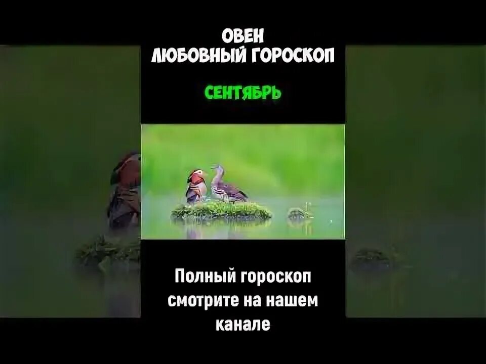 Гороскоп на сентябрь 2020. Будущее овнов. Любовный гороскоп овен женщина на сентябрь. Любовный гороскоп овен женщина на сентябрь. Овен август 2022 женщина.